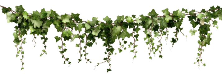 Decorative cascading greenery