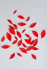 Fototapeta premium Striking Contrast of Heliconia Petals on Grey Surface
