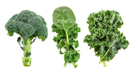 Trio of Green Vegetables Featuring Broccoli