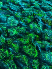 Enchanting Green and Blue Stones Under Crystal Clear Water. High-Resolution Abstract Background. Beautiful Image for Wallpapers, Digital Marketing, Social Media, and Creative Projects