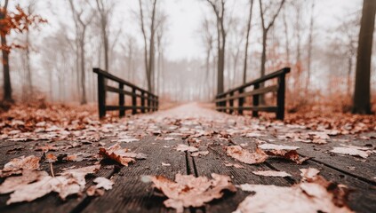 Fototapeta premium Autumnal wooden bridge, forest path, fall leaves