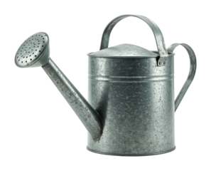 Rustic metal watering can with handle and spout for garden use. Cut out PNG