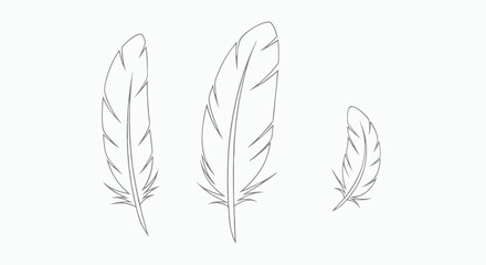 Three elegant feather illustrations in varying sizes, delicately outlined on a pristine white background offering serenity and lightness