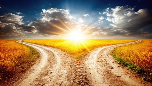 Two dirt roads diverge in a golden field under a dramatic sky with a bright sunset