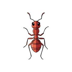 Illustration of a red ant with black legs and antennae, facing forward on a white background.