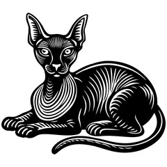black cat vector illustration