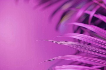 close up of pink flower