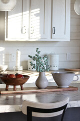 Sun drenched still life kitchen real esate model home