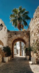 Obraz premium Ancient European alleyway with archway, palm tree, and whitewashed buildings