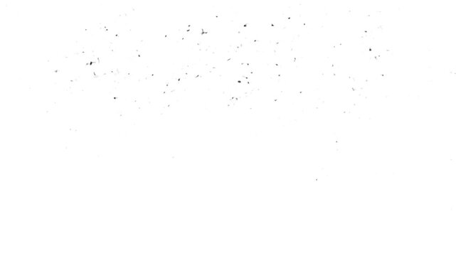 Black and white brush transition