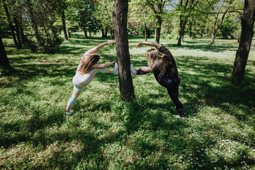 Two women stretching and performing fitness exercises next to a tree in a lush green park during a sunny day, emphasizing outdoor activity and healthy living.