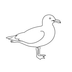 A Simple Line Drawing of a Seagull Standing on One Leg