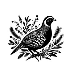 Fototapeta premium Quail surrounded by grass and berries isolated on white background in vintage style