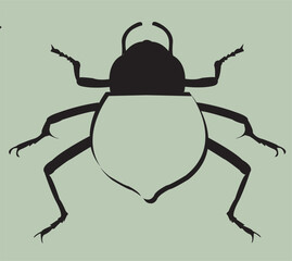 colorado potato beetle