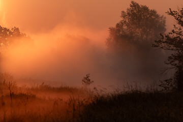 Piękny mglisty poranek, w ciepłych pomarańczowych kolorach, letnia łąka. © Elżbieta Kaps