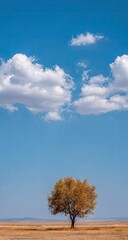 Obraz premium A solitary tree stands sentinel against a vast, golden landscape, beneath a vibrant blue sky dotted with fluffy white clouds