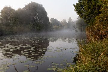 Mglisty poranek na rzeką, tło natury.  © Elżbieta Kaps