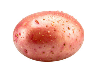 Fototapeta premium Red-skinned potato on transparent background
