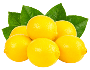 Whole Lemons with Leafy Stems on Transparent Background
