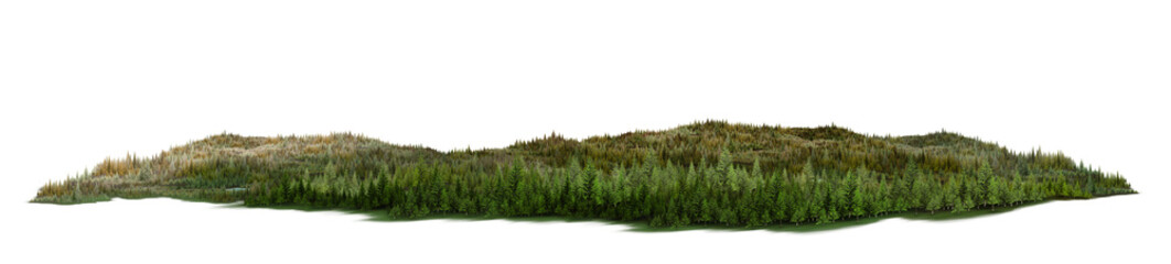 grass on white background/Dense forest with green and brown tones in autumn season