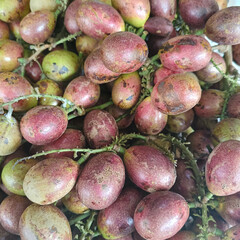Fresh Matoa Fruit from Eastern Indonesia