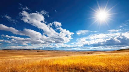 Obraz premium A vast, golden landscape under a bright blue sky with fluffy white clouds and a radiant sun illuminating the serene environment.
