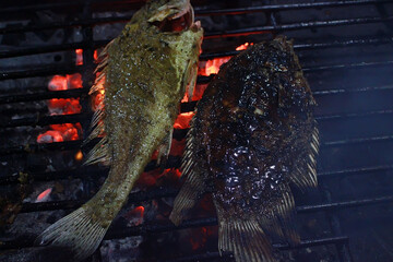 grilled fish