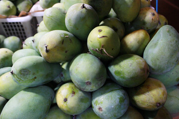 green mango fruits