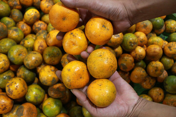 orange in a market