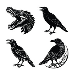 Obraz premium Animal Bundle