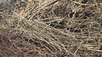 The photo shows dry branches stacked together close-up