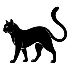 black cat silhouette