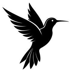 bird silhouette