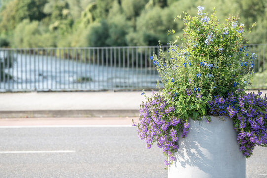 Bepflanzter Blumentrog mit blau und lila bl&uuml;henden Pflanzen auf Stadtbr&uuml;cke in N&uuml;rtingen vor Neckarufer