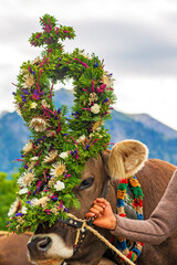 Viehscheid - Allgäu - Kranzkuh - Blumen - Alpen 
