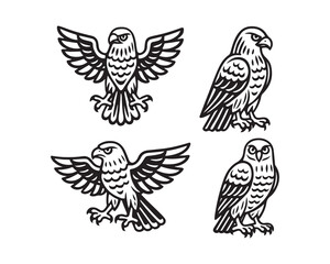Collection of falcon vector illustrations	