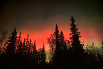 Fototapeta premium The Aurora Borealis dances in the skies over northern and interior Alaska. 
