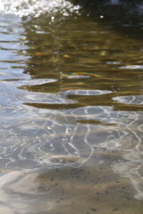 water in the water