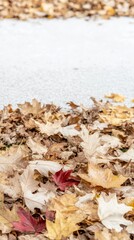 A close-up view of a vibrant red maple leaf nestled among a carpet of golden and brown autumn foliage on the ground