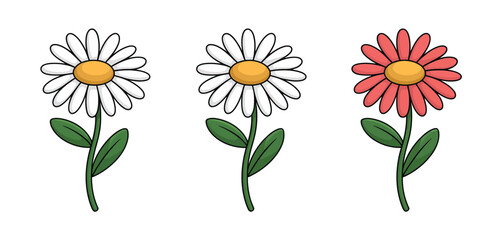 Three hand drawn daisy flowers one red two white