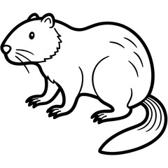 Fototapeta premium vector illustration of a white rat