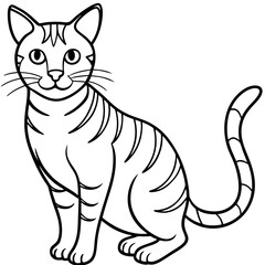 vector illustration of a cat