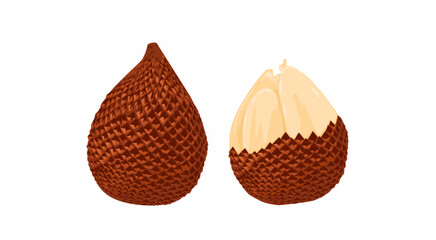 tropical Brown salak fruit is Thorny. skin and peeled issolated on white 