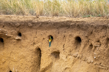 footprints in the sand