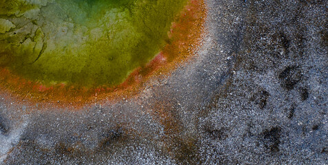 A Decorative Texture with Gold Accents and Artistic Design