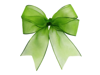 Vibrant green sheer organza ribbon bow image, Isolated, Png Transparent Background
