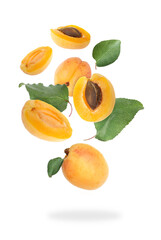 Fresh juicy apricots falling against white background