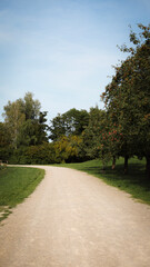 nature photography, garden, apples, grapes, field