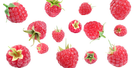 Fresh raspberries swirling in air against white background