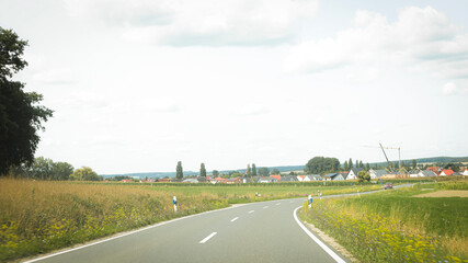 nature photography, garden, apples, grapes, field